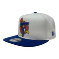 Space Jam Tune Squad Tasmanian Devil 9FIFTY A-Frame Snapback